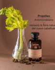 Apivita Shampoo anticaspa seca con apio y propóleo 250 ml